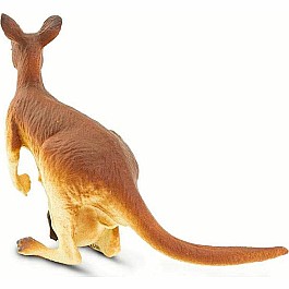 Kangaroo