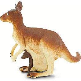 Kangaroo