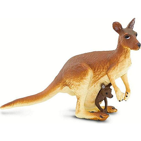 Kangaroo