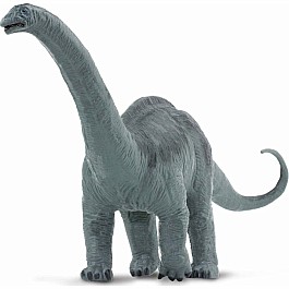 Apatosaurus