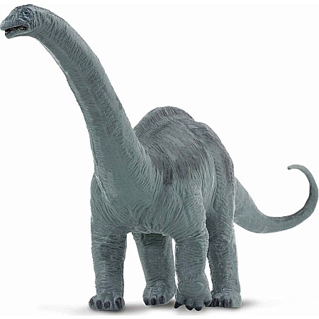 Apatosaurus