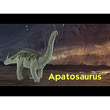 Apatosaurus