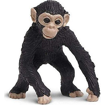 GLM CHIMP