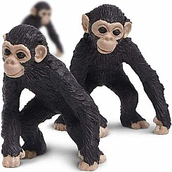 GLM CHIMP