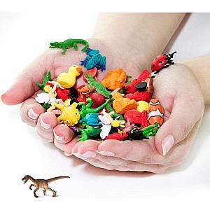 Raptors-Good Luck Minis® (sold individually)