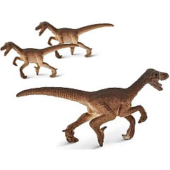 Raptors-Good Luck Minis® (sold individually)