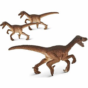 Raptors-Good Luck Minis® (sold individually)