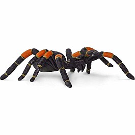 Tarantula