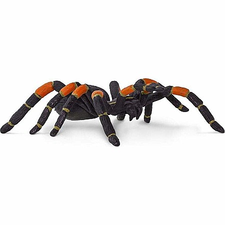 Tarantula