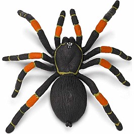 Tarantula