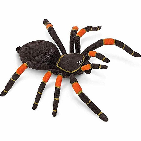 Tarantula