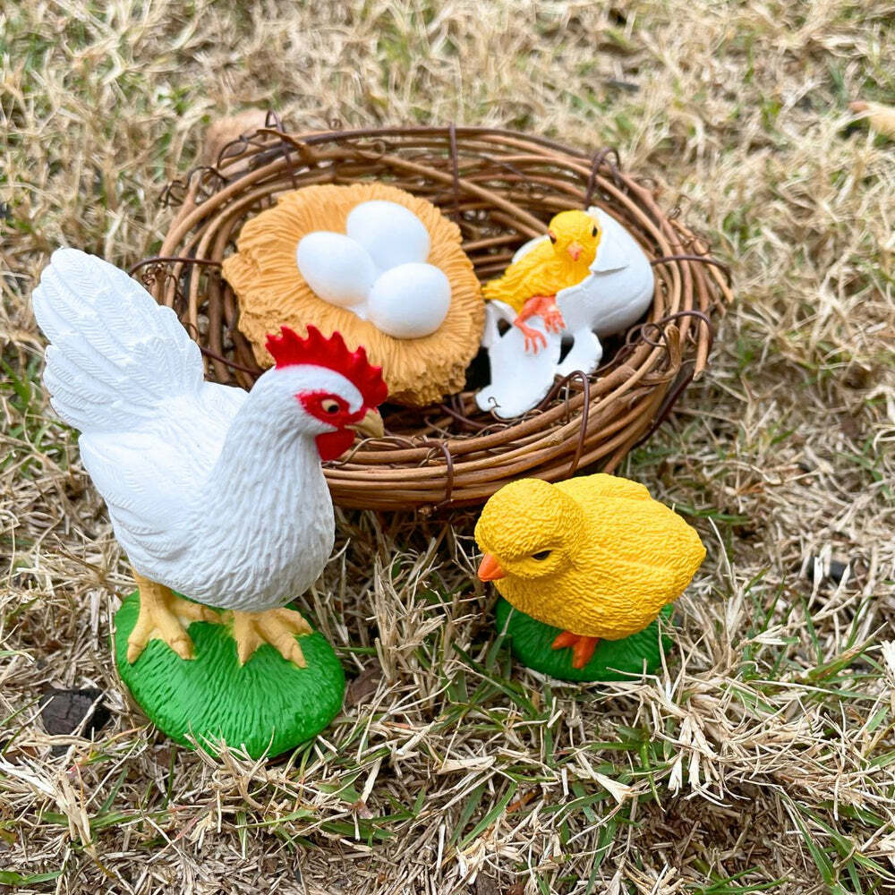 Life Cycle of a Chicken - Tom's Toys