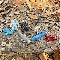 Designer Tube - Cryptozoology