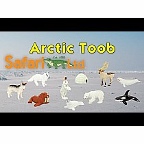 Arctic Toob