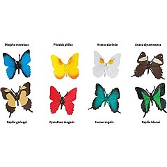 Butterflies