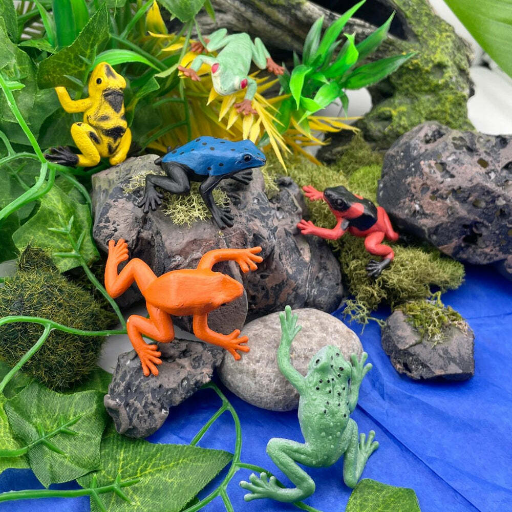 Frogs & Turtles from Safari Limited - School Crossing