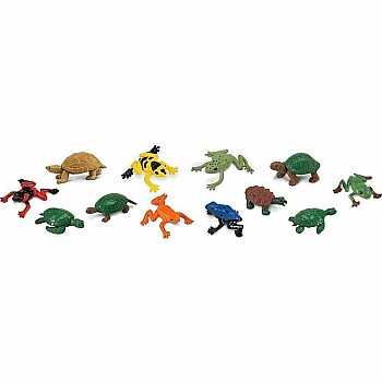 Frogs & Turtles