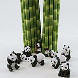 Pandas