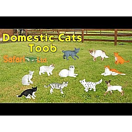 Domestic Cats TOOB®