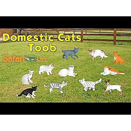 Domestic Cats TOOB®