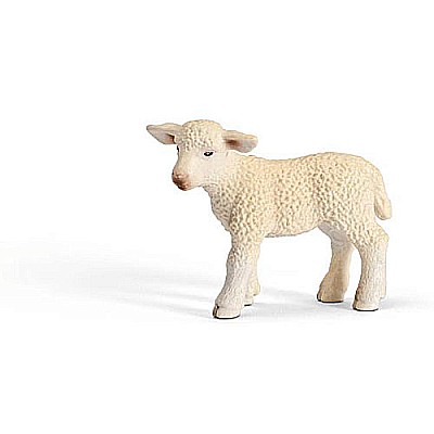 Lamb, Standing
