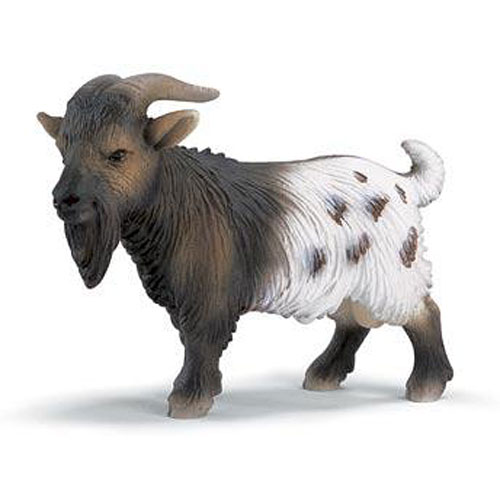 Mini Billy Goat - The