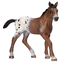 Schleich Appaloosa Foal Toy Figure