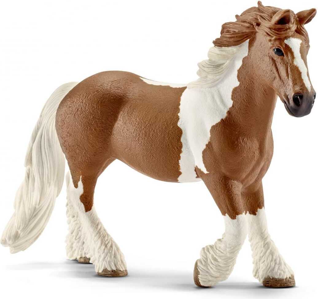 Tinker Mare