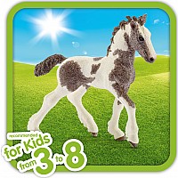 Schleich Tinker Foal