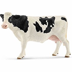 Holstein Cow