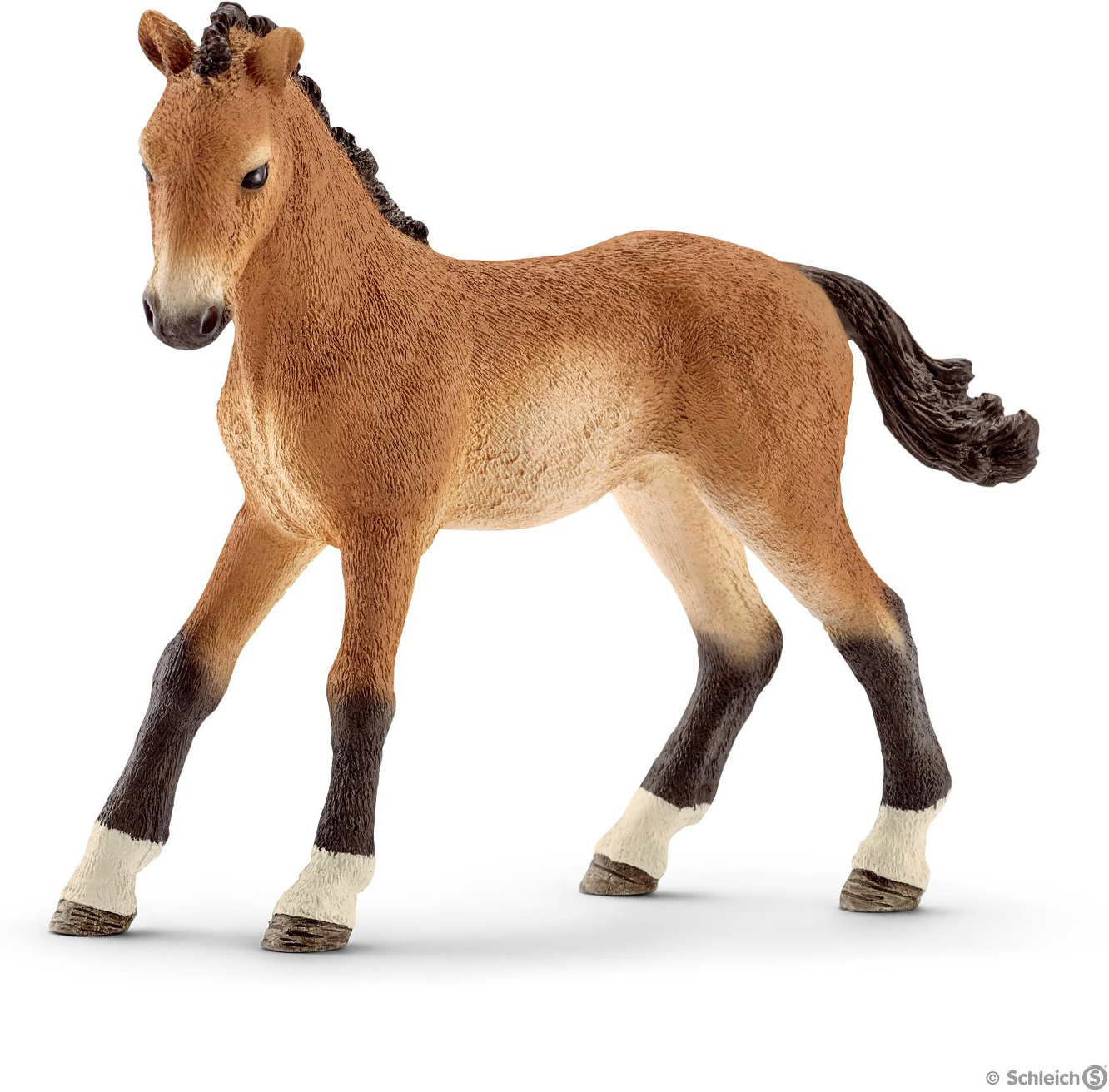 Tennessee Walker Foal - Kite and Kaboodle