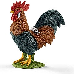 Rooster