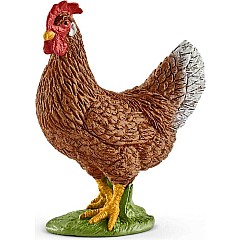Hen