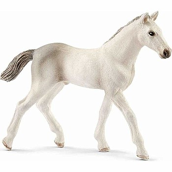 Schleich Holsteiner Foal