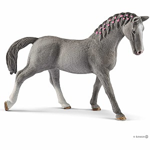 Trakehner Mare