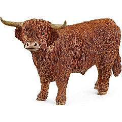 Highland Bull