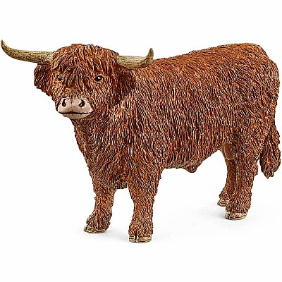 Highland Bull