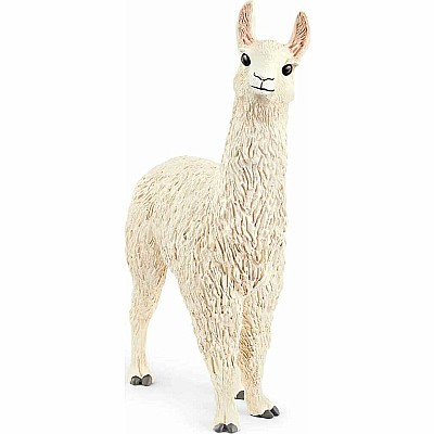 Llama