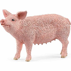 Schleich  Pig