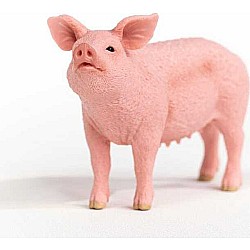 Schleich  Pig