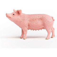 schleich Farm World Pig