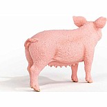 schleich Farm World Pig