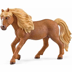 Schleich  Icelandic Pony Stallion