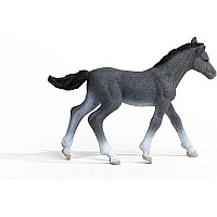 schleich Horse Club Trakehner Foal