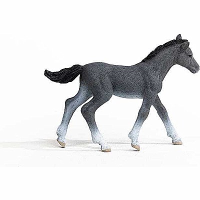 schleich Horse Club Trakehner Foal