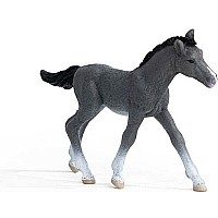 schleich Horse Club Trakehner Foal