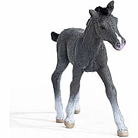 schleich Horse Club Trakehner Foal