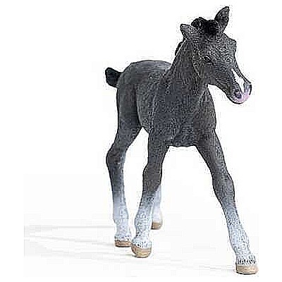 schleich Horse Club Trakehner Foal