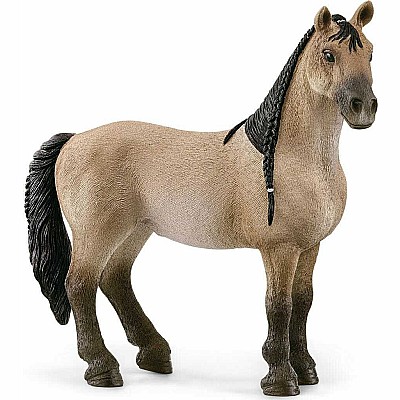 schleich Horse Club Criollo Definitivo Mare