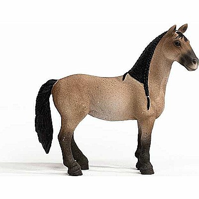 schleich Horse Club Criollo Definitivo Mare